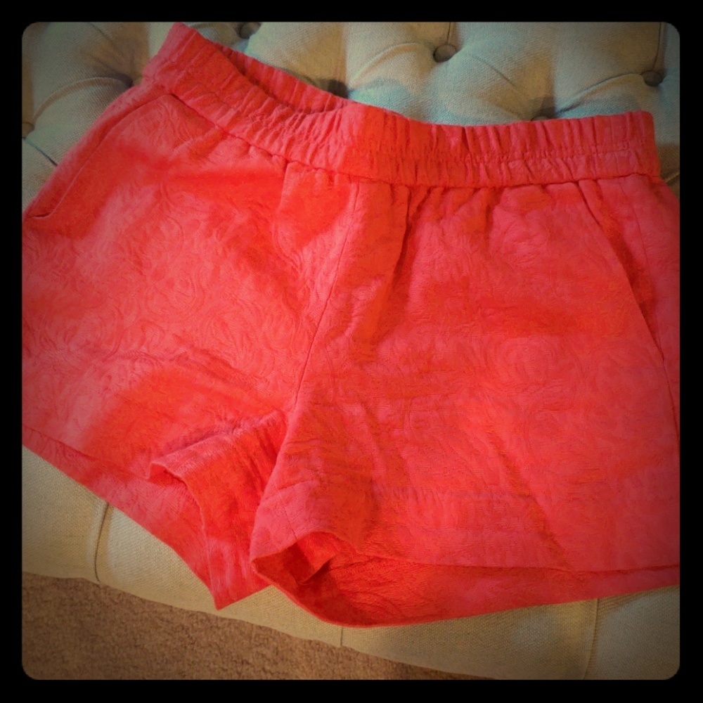 J Crew Shorts